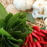 Alloro: sempreverde mediterraneo indispensabile in cucina