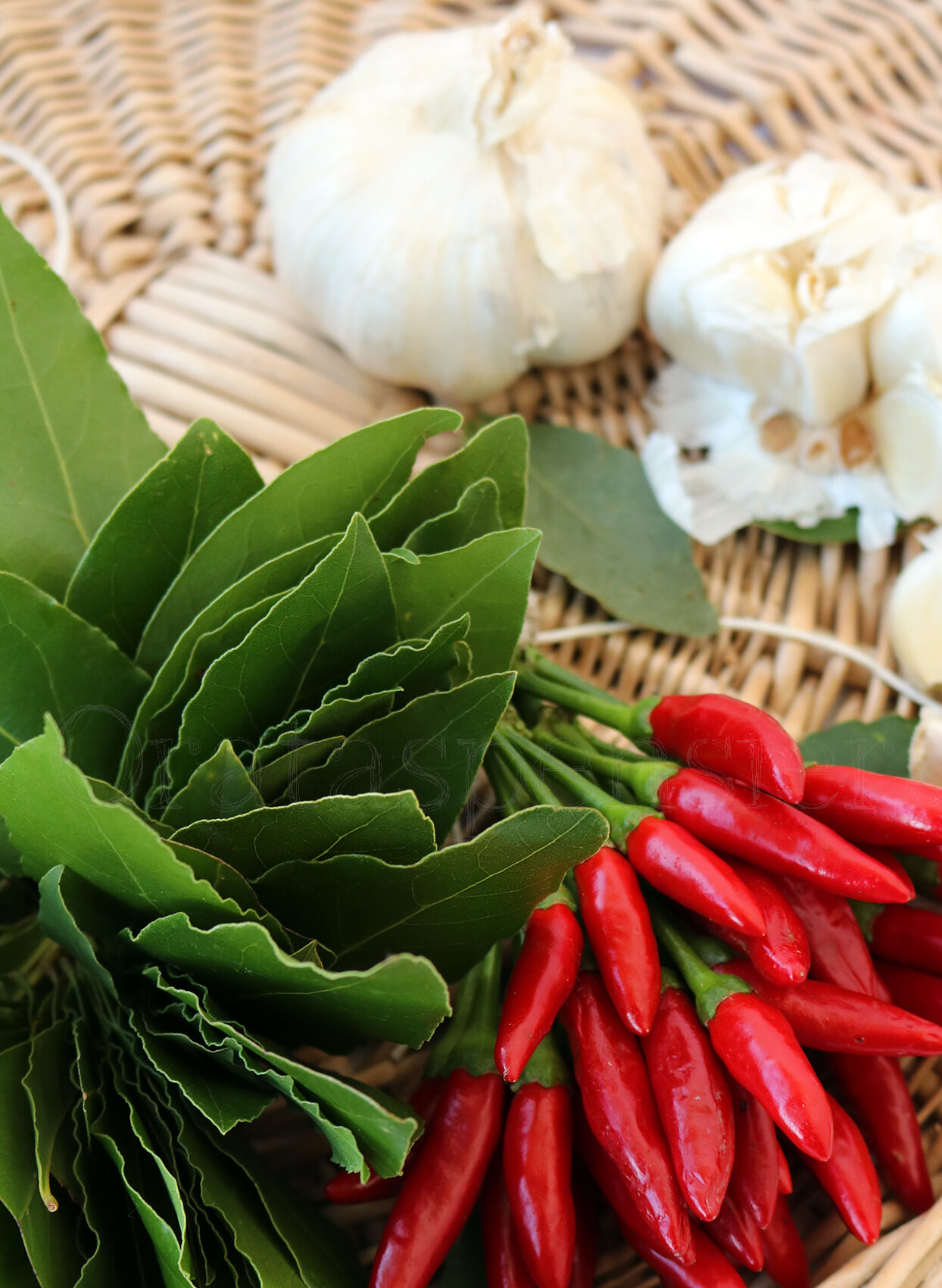 Alloro: sempreverde mediterraneo indispensabile in cucina