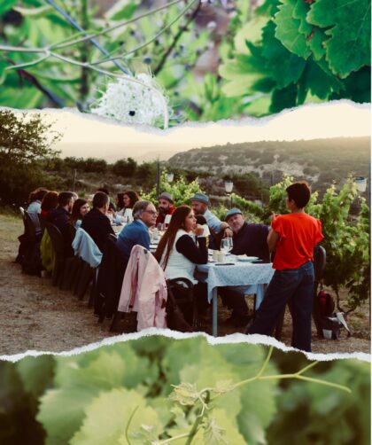 serata in vigna - cantina sorres