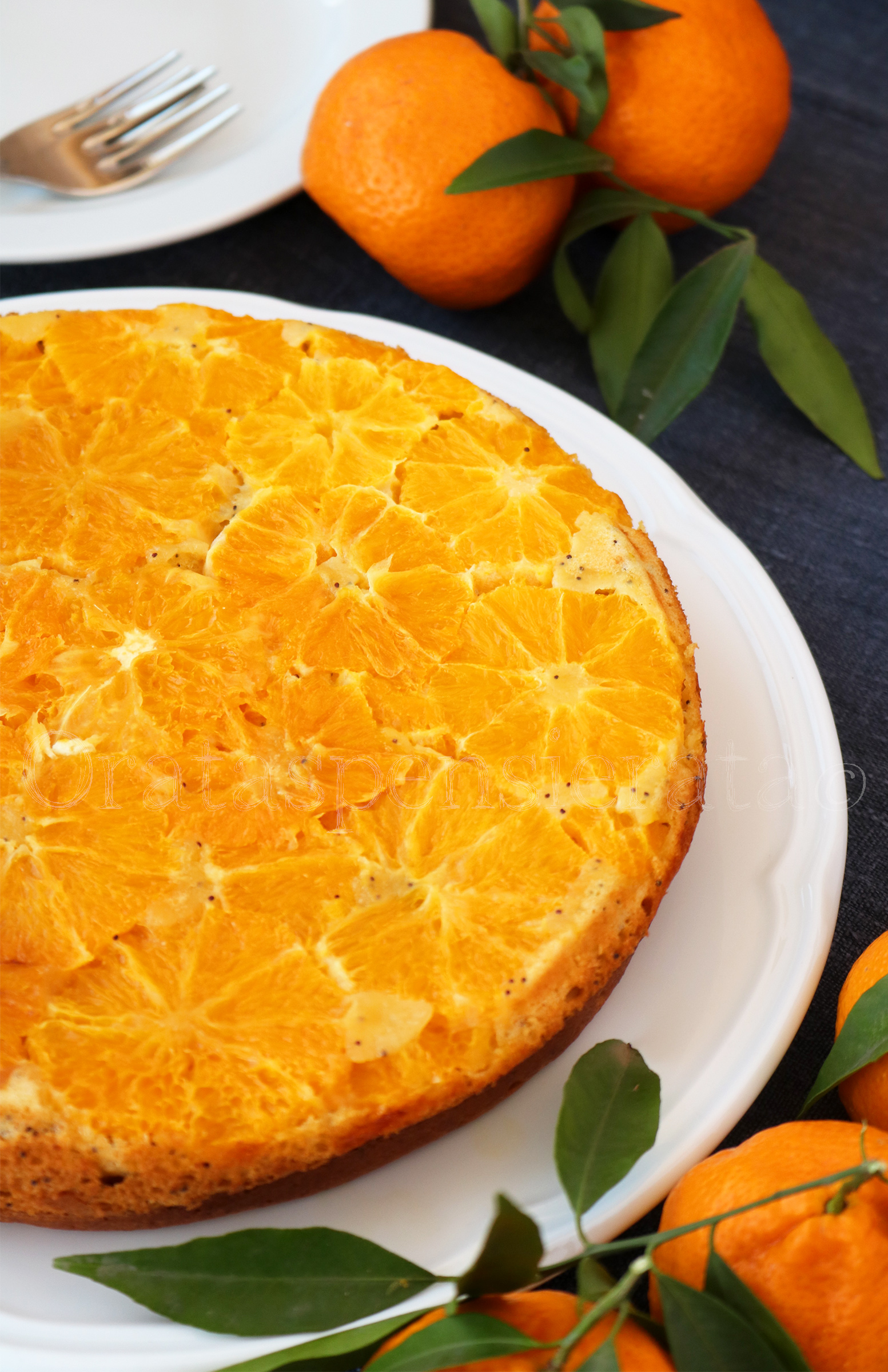 torta di ricotta, arance e mandarini