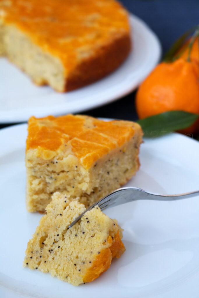 torta di ricotta, arance e mandarini