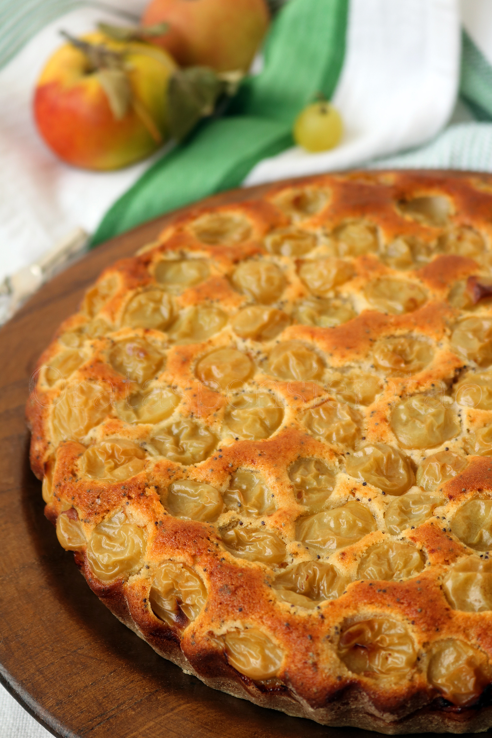 torta di ricotta, semi di papavero e uva