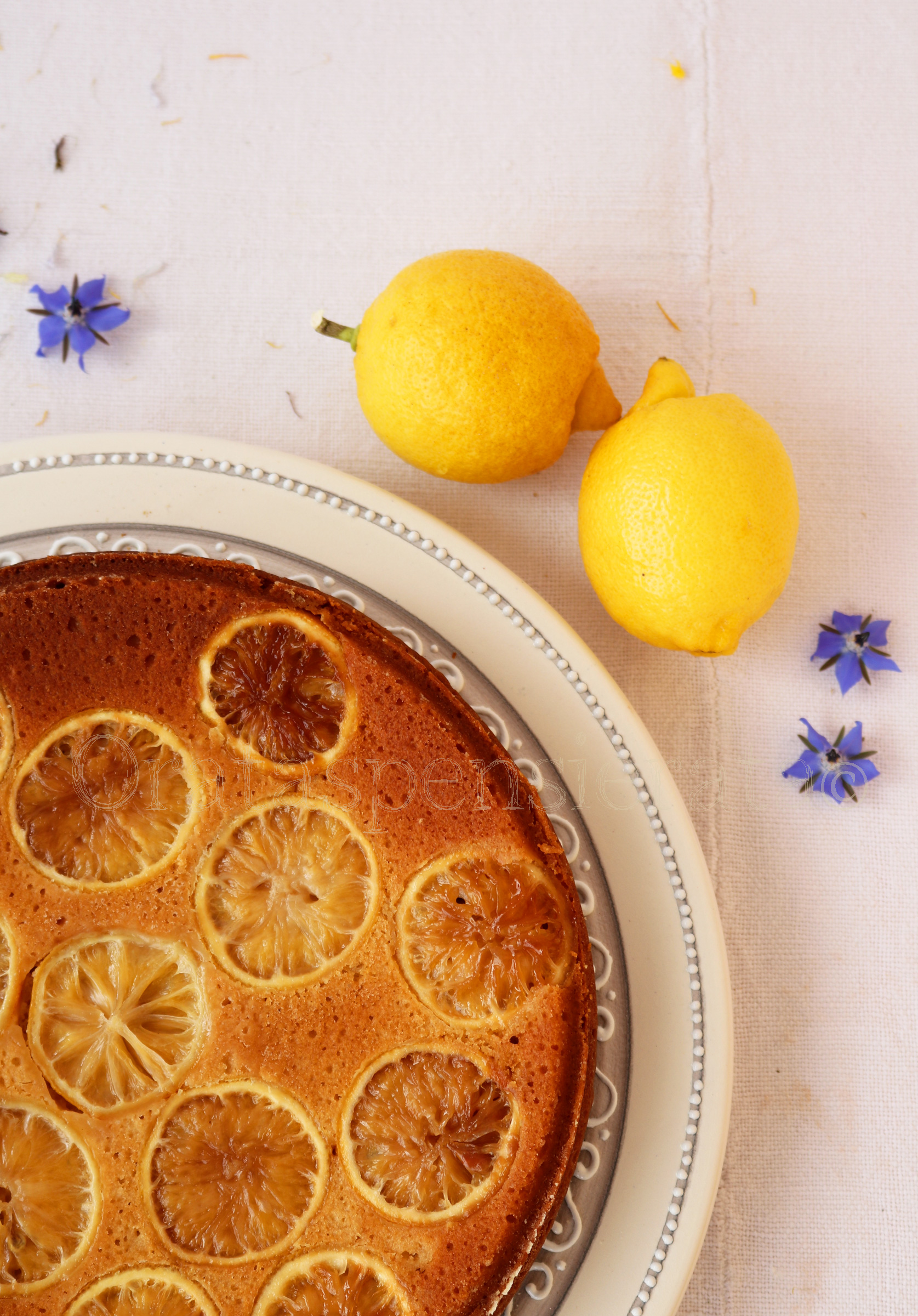 Torta di ricotta e limoni